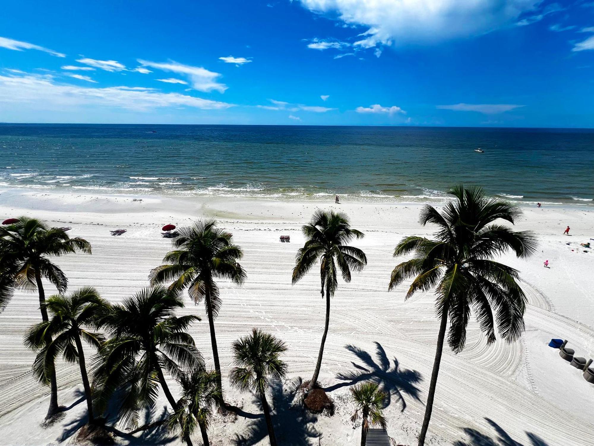 Beachfront King Bed Suite Balcony